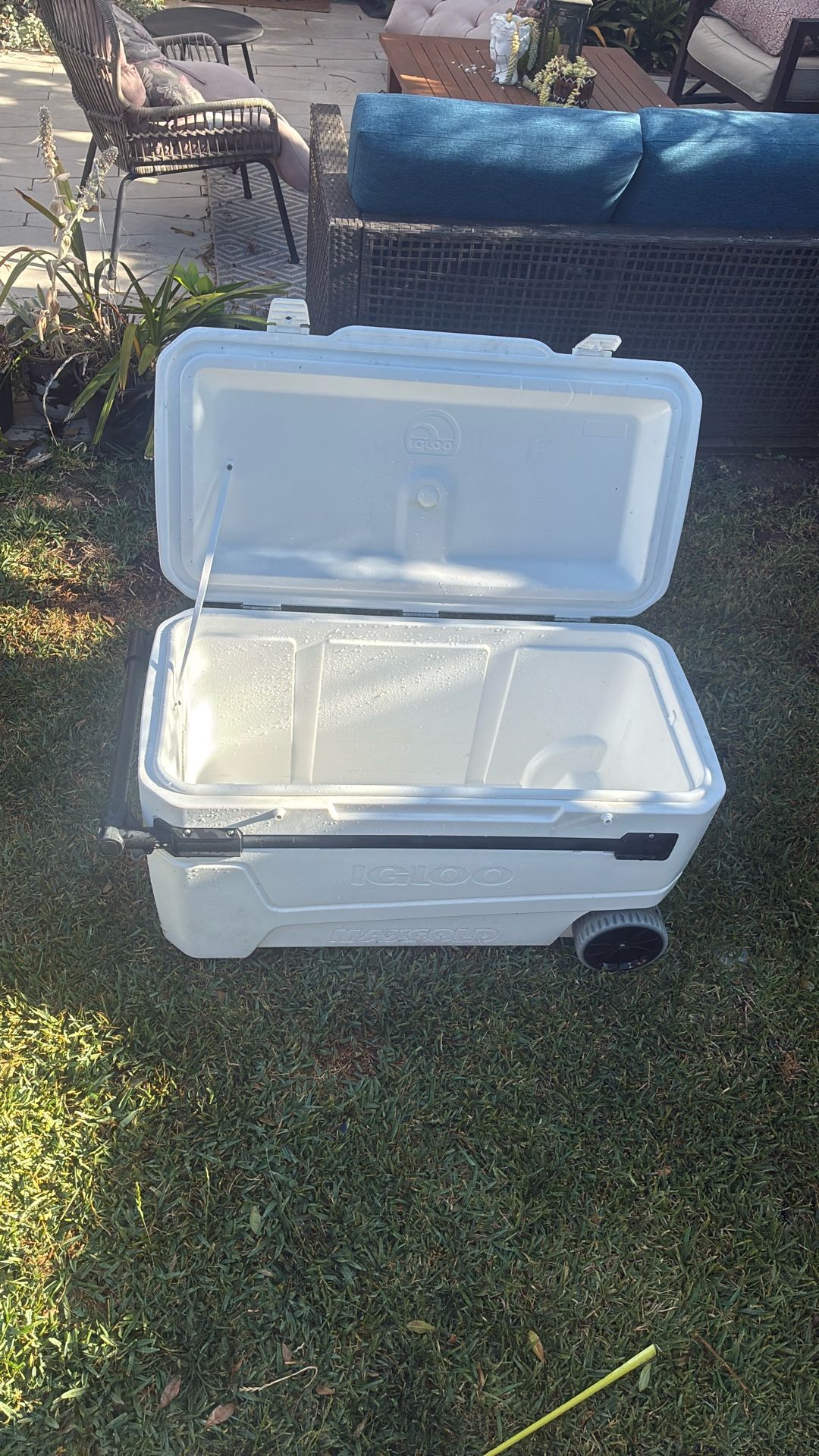 Igloo Maxcold Cooler