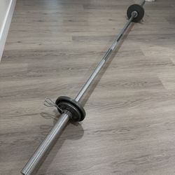 Olympic Barbell And Bumper Plates $80 (OBO)
