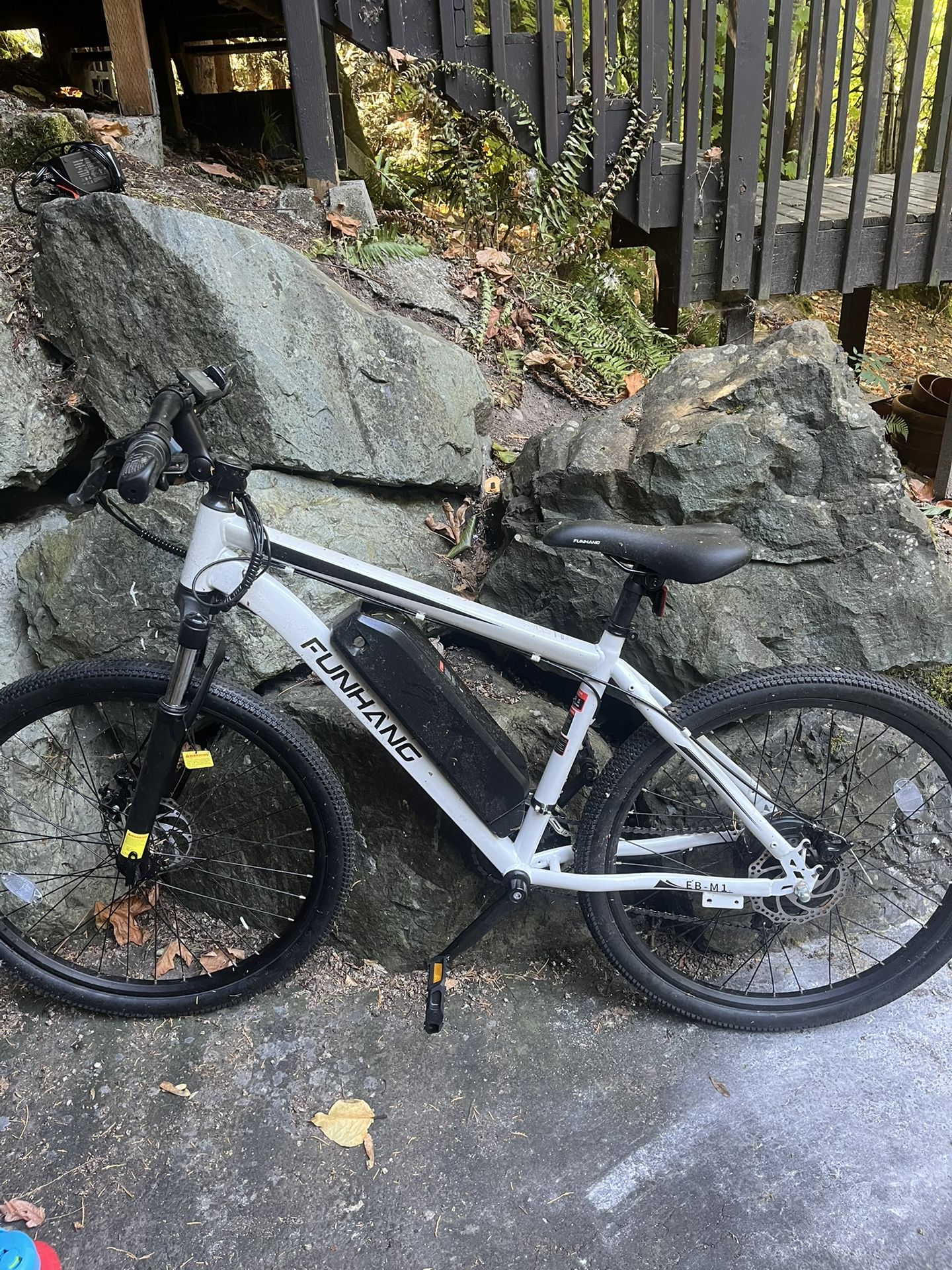 Electric Bike