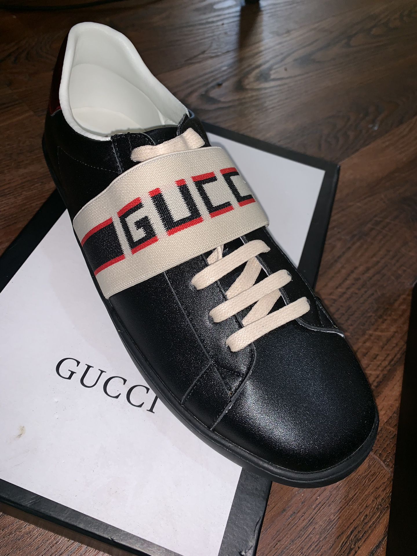 Brand new Gucci Sneakers (size 10)