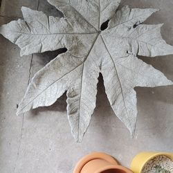 Small flower pots, Garden Decor Concrete Leaf