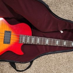 Gibson/Epiphone Bass