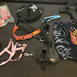 Dog Harnesses And Misc. Dog Accessories 