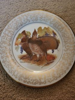 Ruffed Grouse