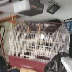 Bird Cage