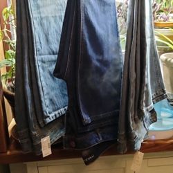Maurice's Jeans (14 Short)