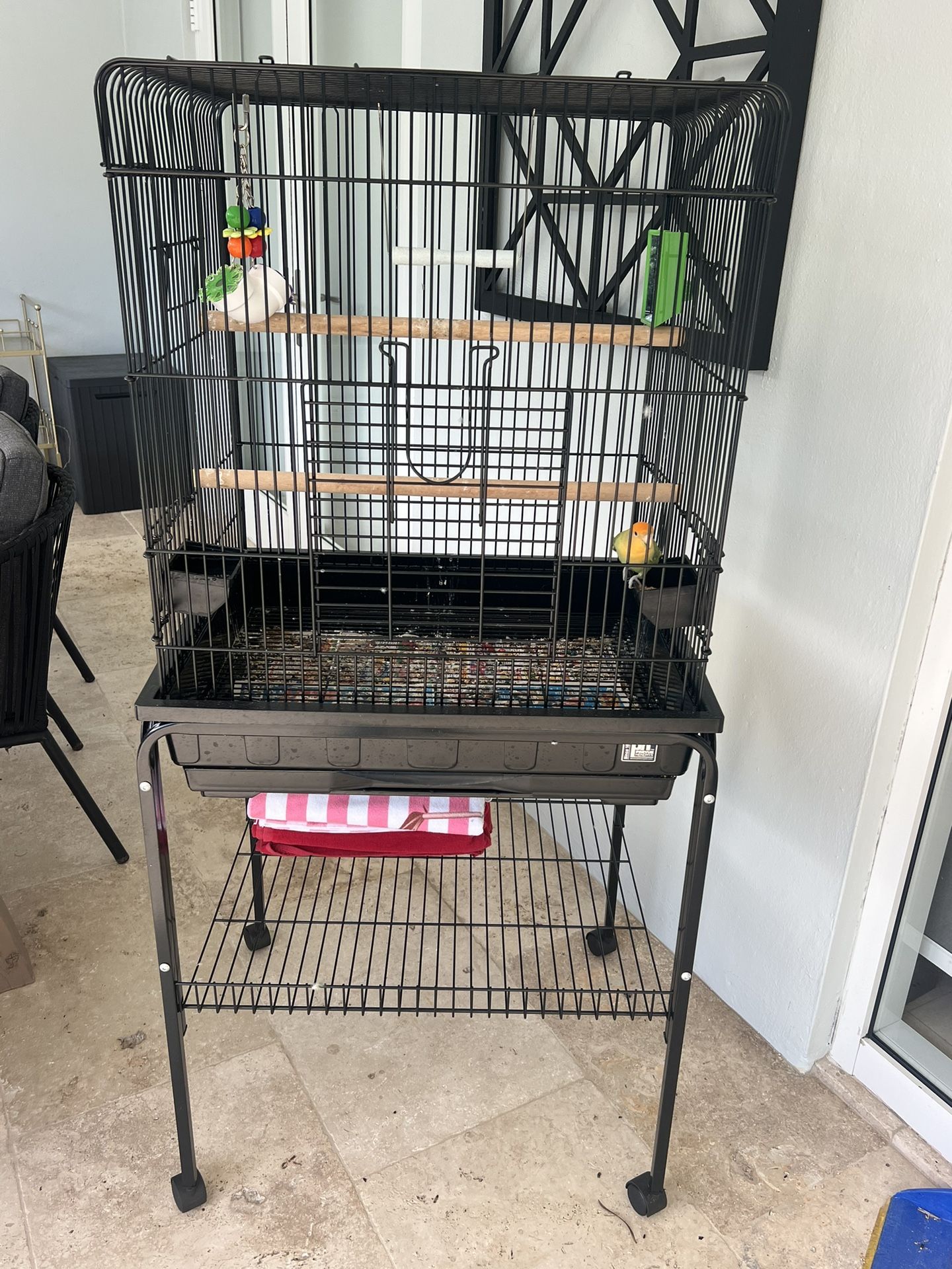 Love Bird