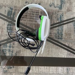 Turtle Headset