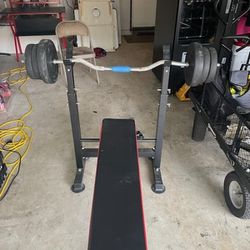 Weights and Bench 