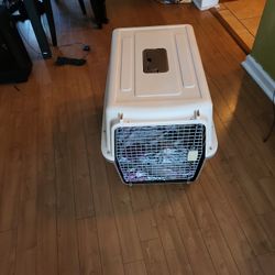 Pet Carrier 
