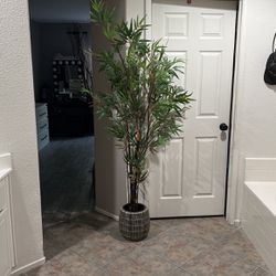 Faux Bamboo Plant With Planter Pot