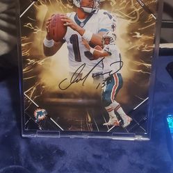 Signed sports photos