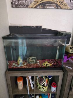 30 gallon fish tank