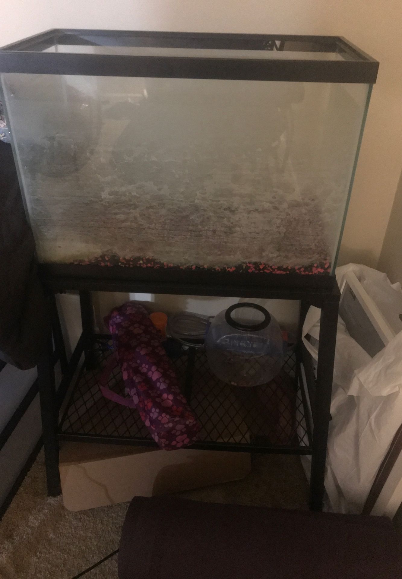 Fish tank and stand for sale 60 bucks obo