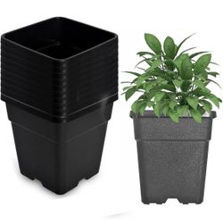Plant Pots, Plant Grow Pots, 10 Pcs, New