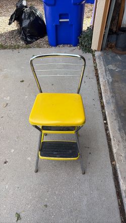 Coleman chair/step-stool