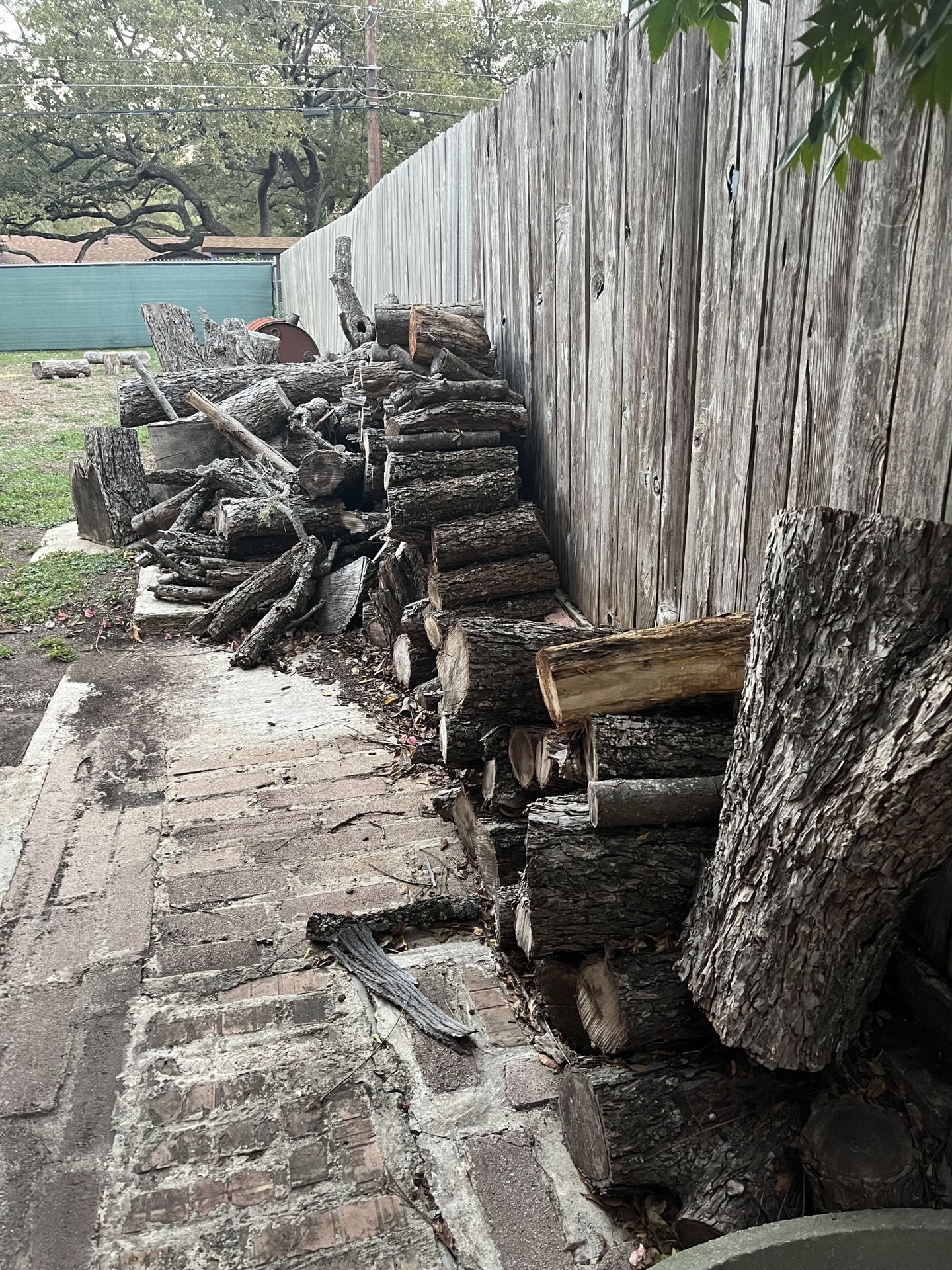Pecan Tree Firewood