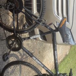 Endangered magna Mountain bike