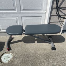 Pending Pick Up- Free Bench Press Exercise For Weights Dumbbells Or Bar