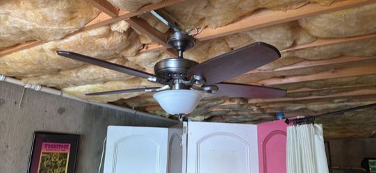 Ceiling fan