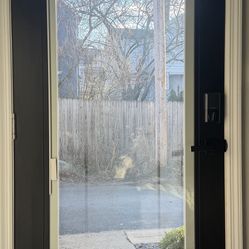  36” x 80” Black Fiberglass Front Door – Full Lite w/ Blinds