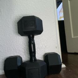 20 (TWENTY) lbs. Dumbbells Pair