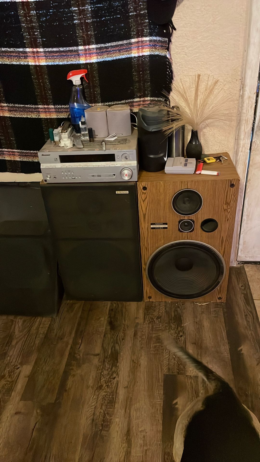 Pioneer