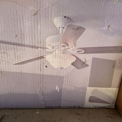 White Fan