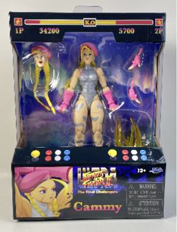 Ultra Street Fighter II Cammy (Player 2 Outfit)