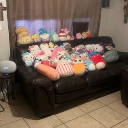 Squishmallows & Plushy’s