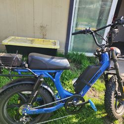 Dual Battery Ebike 