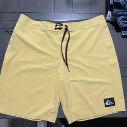 Quicksilver Mens Swim Shorts