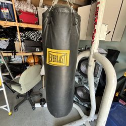Punching Bag for Boxing Or UFC