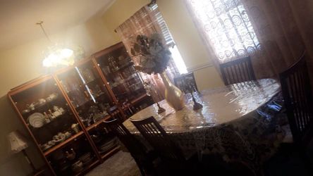 Entire dining room set