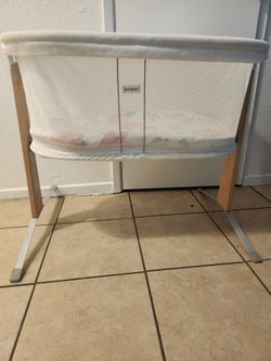 Bassinet And Bouncer