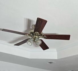 Brown Gold Fan