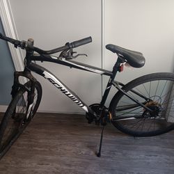 🚲