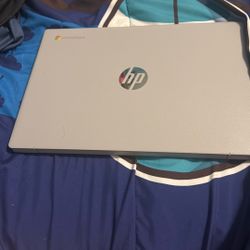 Hp Chromebook