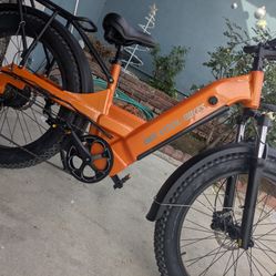 Electric Bicycle 