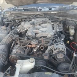 2002 Ford Mustang