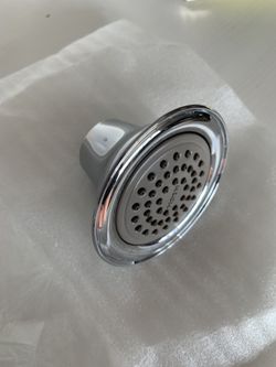 Moen Shower head