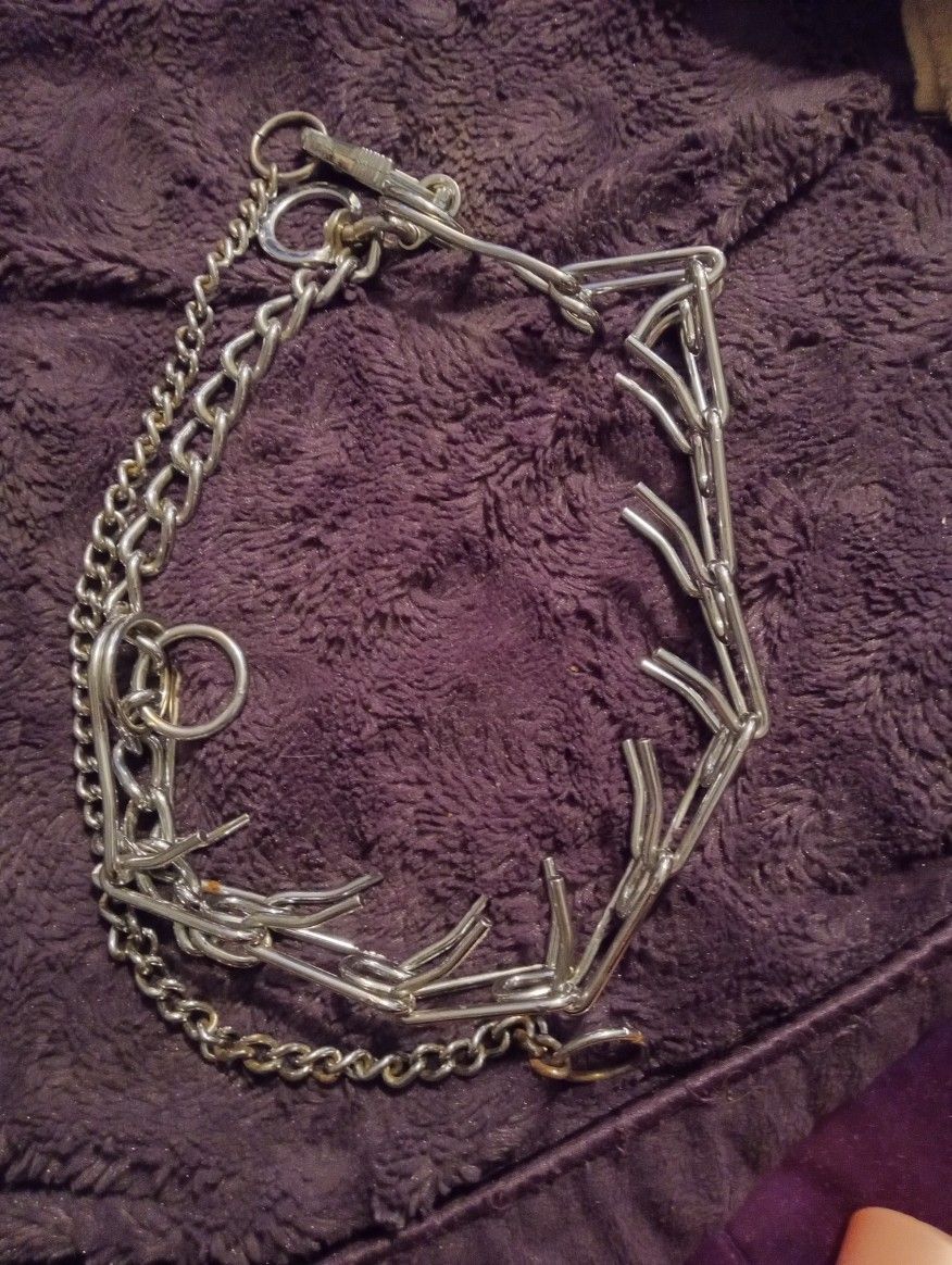 Animal Spike Collar