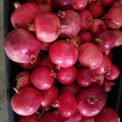 Pomegranates.  1.00 For Med 1.50 For Large