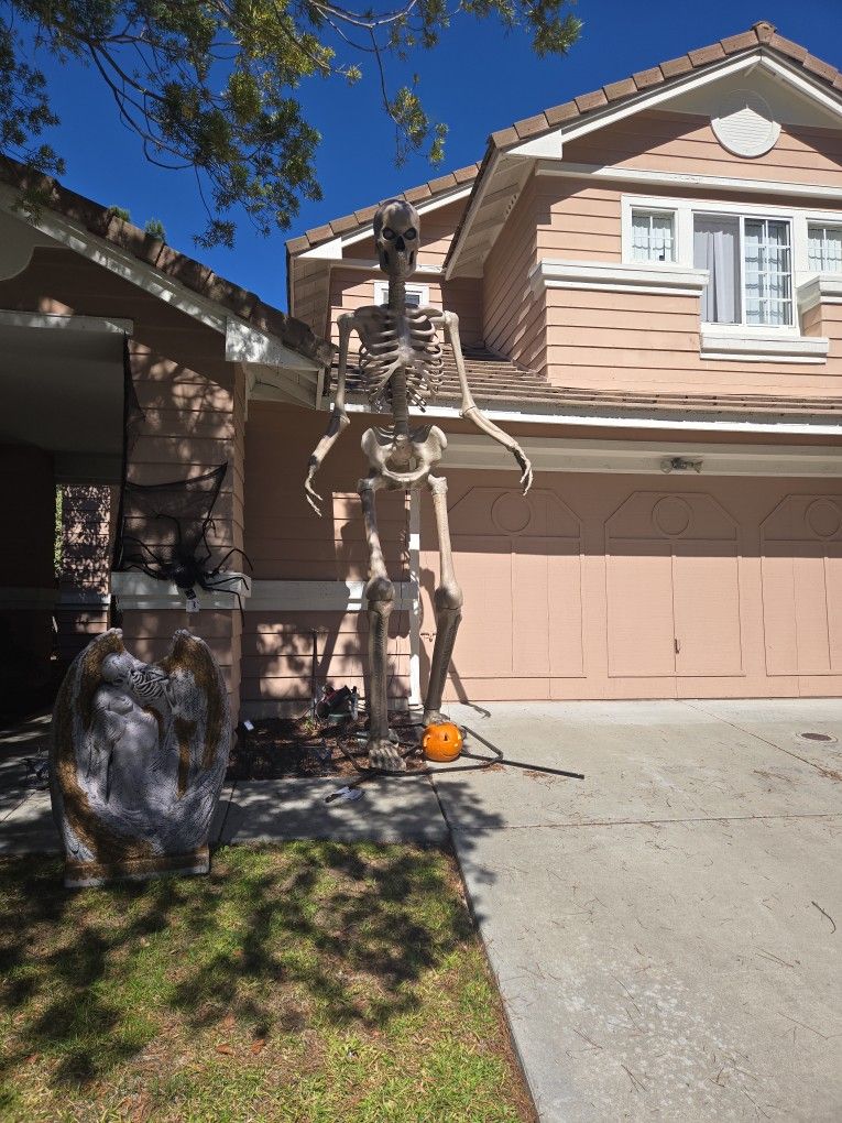 12 Ft Skelly