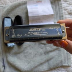 Easttop Blues Harmonica 