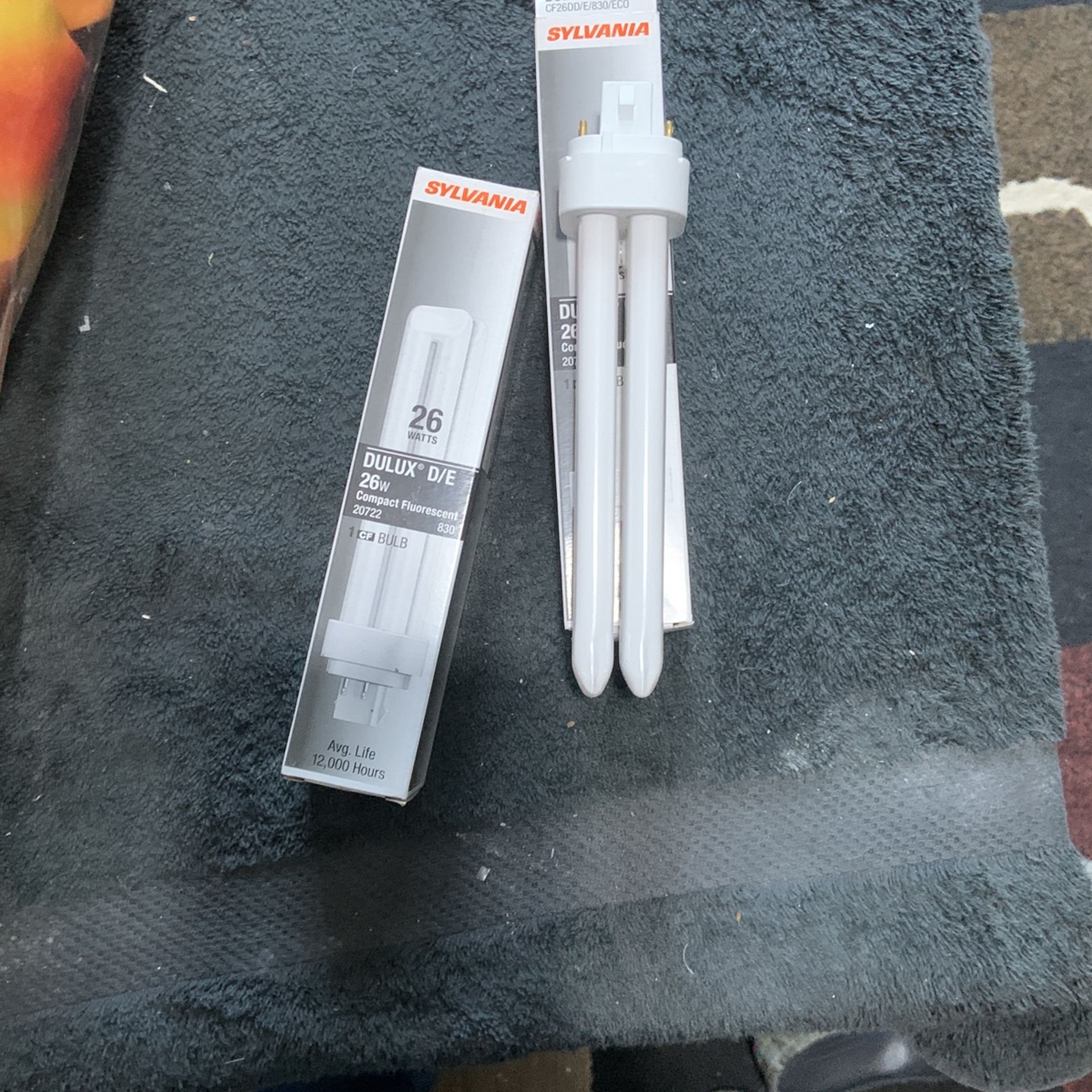 Light Bulb, Compact Fluorescent