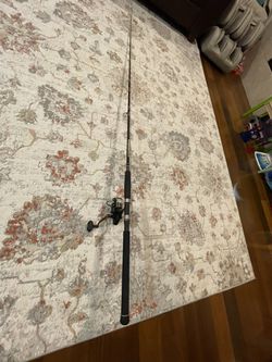 Fishing Combo: Abu Garcia Workhorse Rod and Wright & McGill 3000 Reel. Both  are very good Condition for Sale in Manteca, CA - OfferUp
