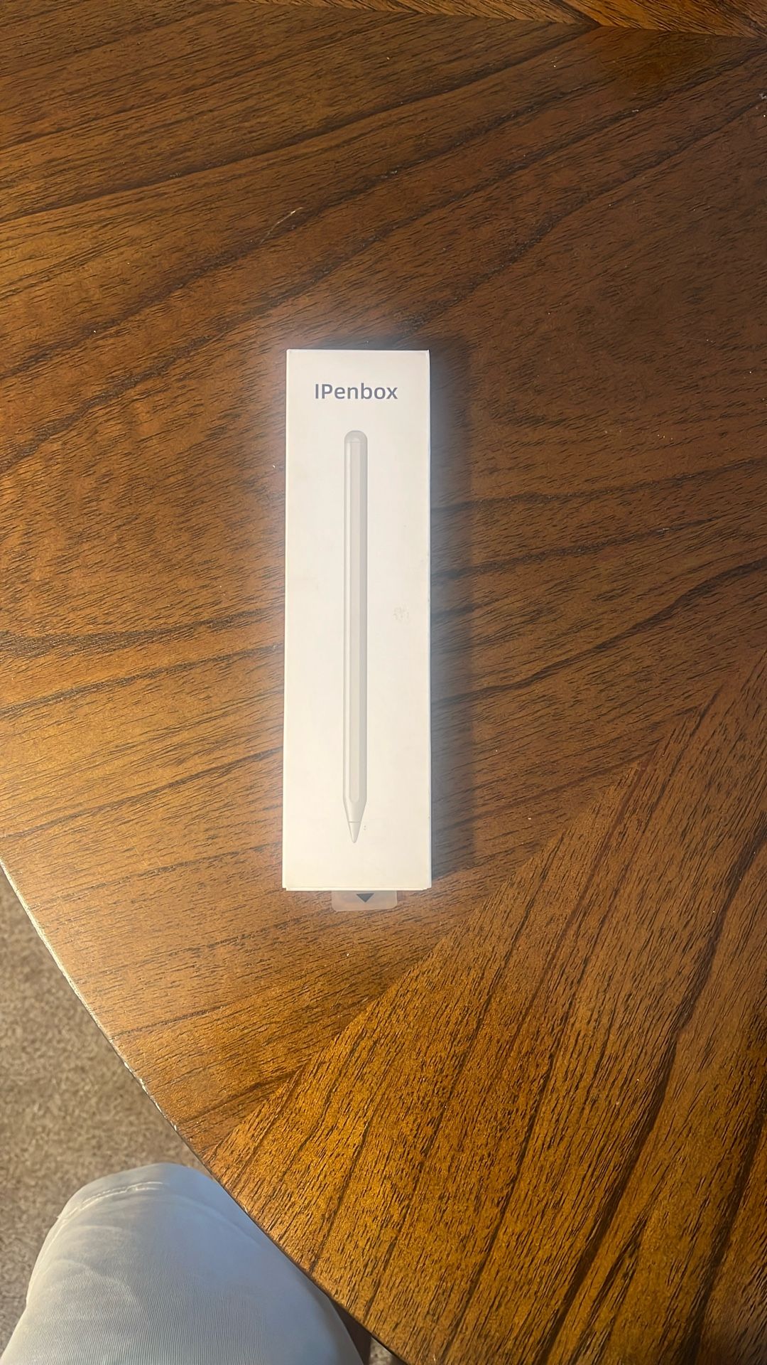 iPad Pen