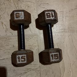 15 lb dumbbells