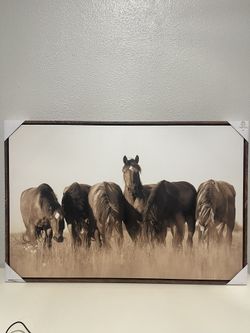 Horse Canvas